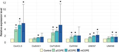 Cucurbitaceae COld Peeling Extracts (CCOPEs) Protect Plants From Root-Knot Nematode Infections Through Induced Resistance and Nematicidal Effects